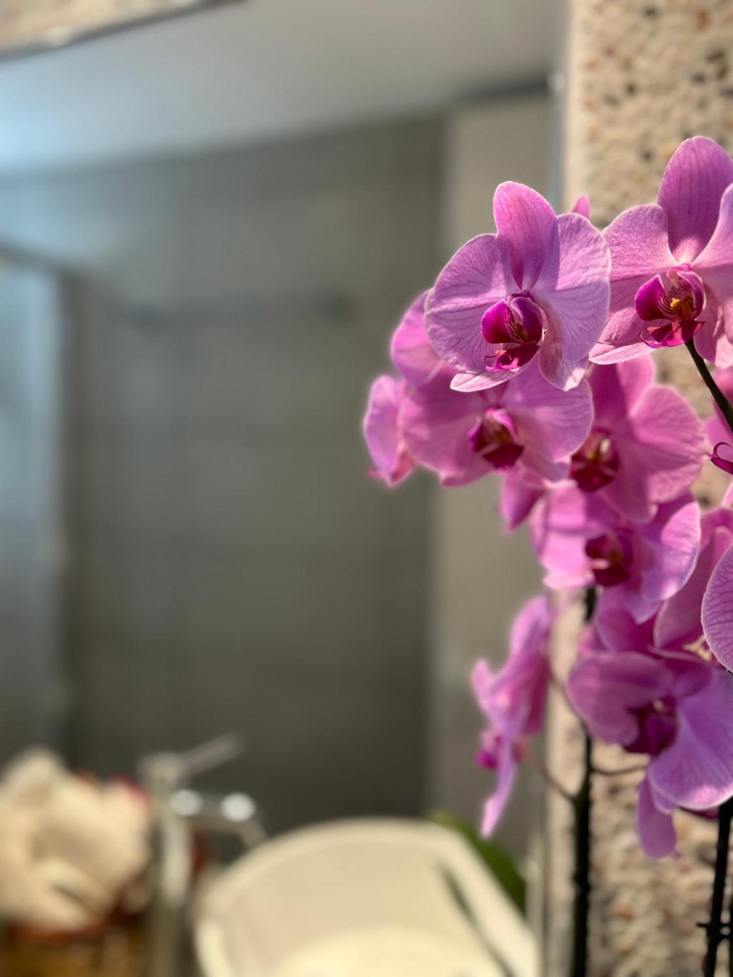 Sea View Apartments & Studios Agia Anna  Phòng bức ảnh